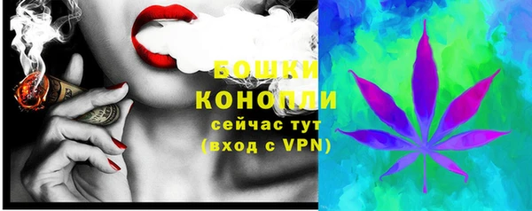 PSILOCYBIN Остров