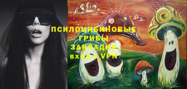 PSILOCYBIN Остров