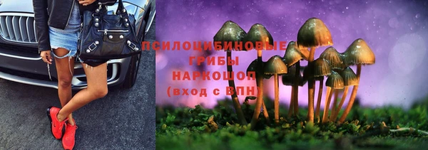 а пвп мука Осташков